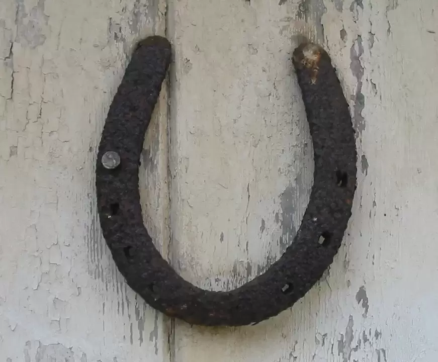 an amulet for the horseshoe of happiness